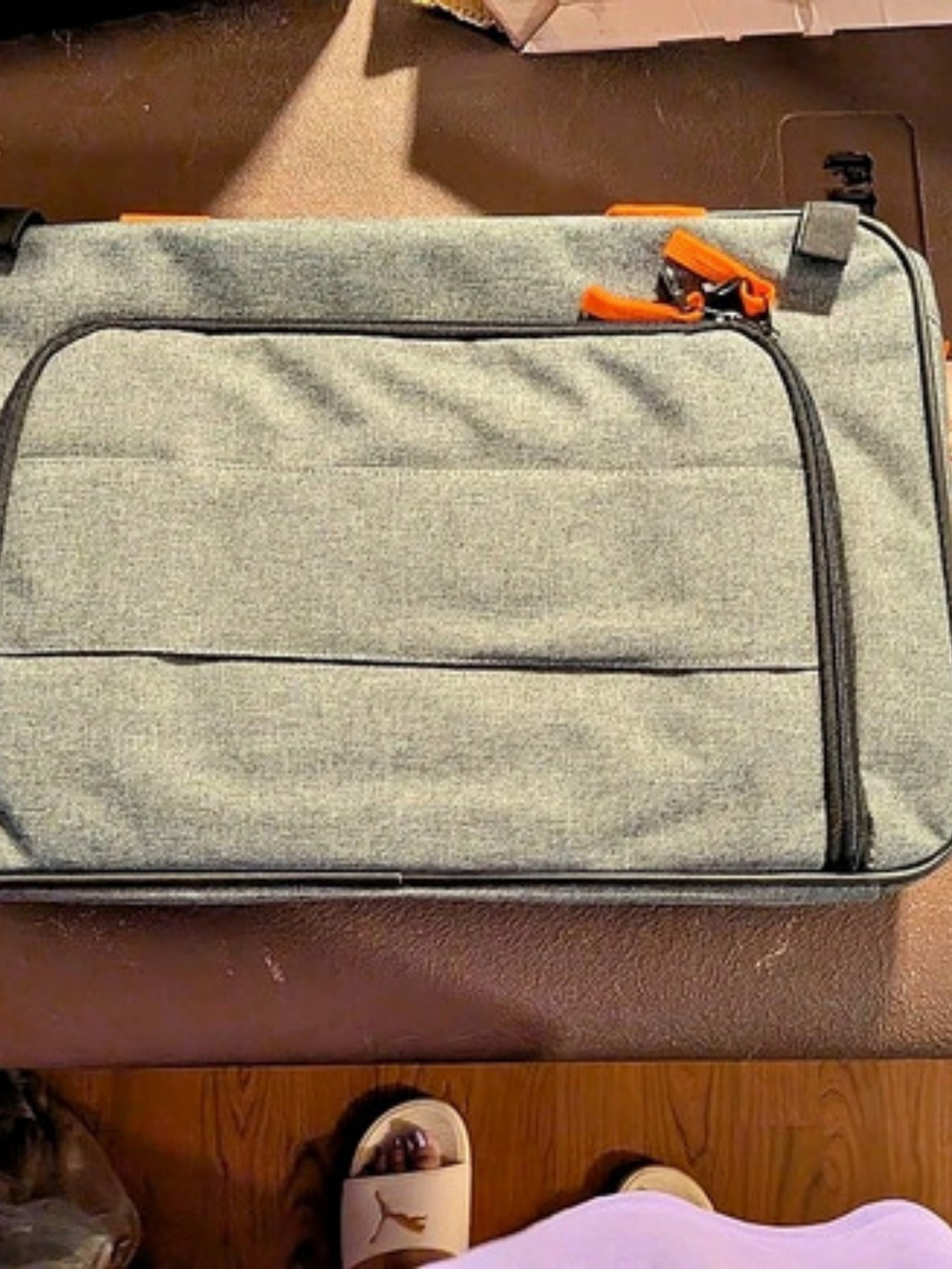Pet Carrier Bag